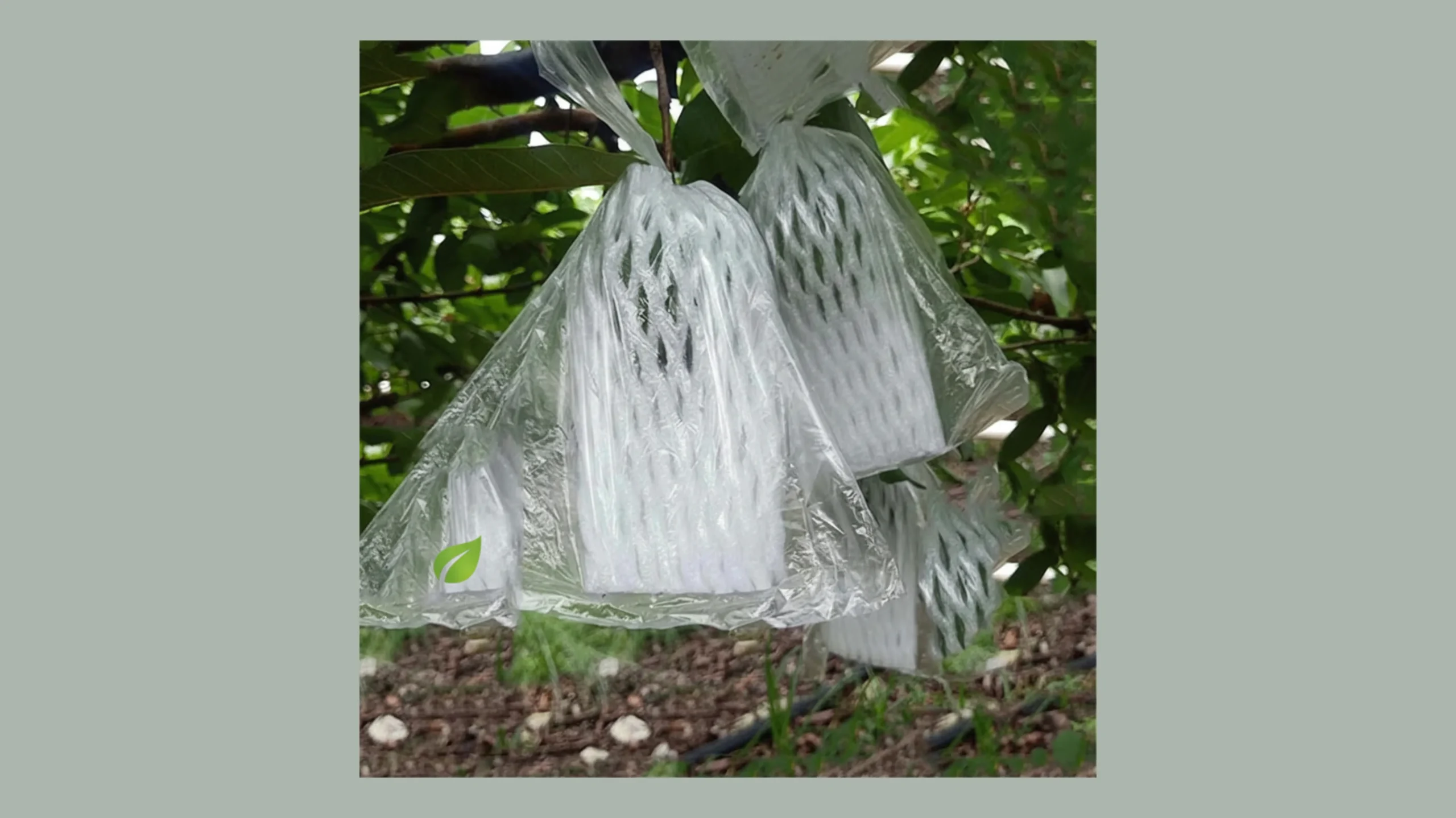 Crop Cover - Image 2