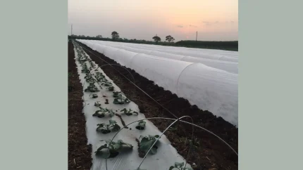 Crop Cover
